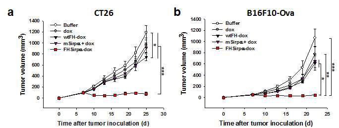다양한 암종에 대한 FHSirpα-dox 항암 효과
