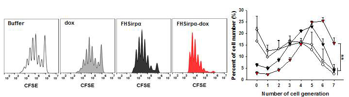 FHSirpα-dox의 교차 반응 평가