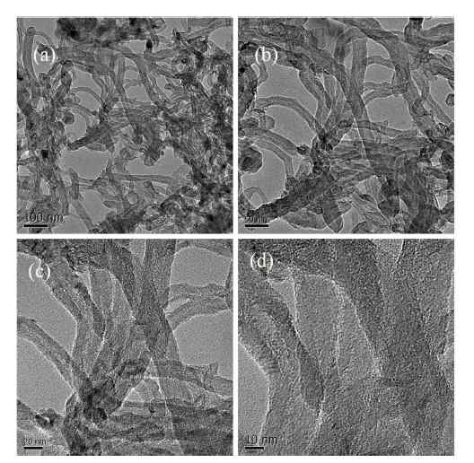 TEM (transmission electron microscopy) images of the 20% NiO-CeO2/AAO catalyst after the DRP with different magnifications: (a) 100 nm; (b) 50 nm; (c) 20 nm; (d) 10 nm