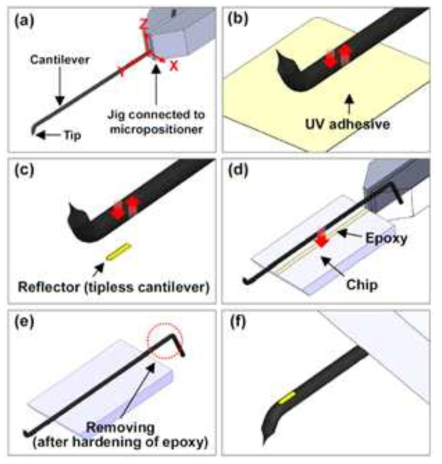 Fabrication process of tungsten probe: (a) holding tungsten probe by jig manipulated by micropositioner, (b) dipping tungsten probe into UV adhesive, (c) attaching reflector to tungsten cantilever, (d) attaching tungsten cantilever to chip, (e) Removing unnecessary portion after hardening of epoxy, and (f) completed tungsten probe. The tungsten probe was manipulated by the jig linked to the micropositioner. The reflector was obtained by separating a tipless cantilever from its chip