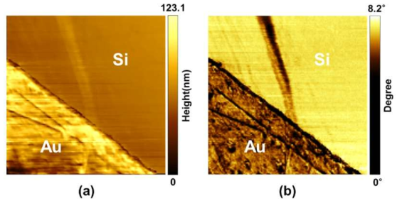 AFM (a) topography and (b) phase contrast images of Si partly coated with Au (scan size: 35 μm x 35 μm)