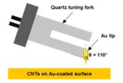 Schematic diagram of tuning fork-based Au probe for TERS