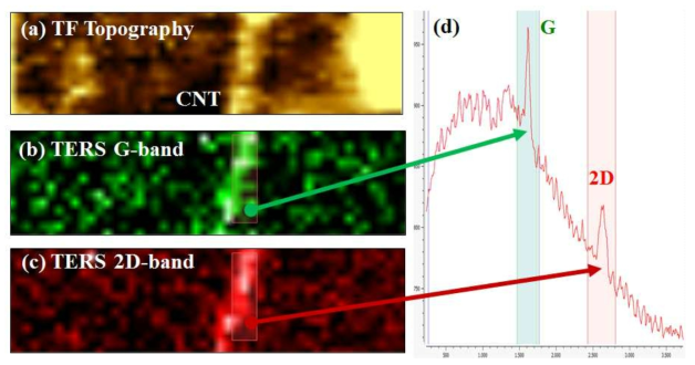 AFM and TERS imaging of CNT with image size 500 x 100 nm (50 x 10 points): (a) Tuning folk topography. (b, c) spectrally resolved TERS image for two Raman peaks; for G-(b) and 2D-(c) band. (d) Raman spectrum of CNT