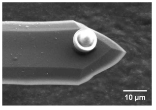 SEM image of colloidal probe with tip radius of curvature of about 5 μm