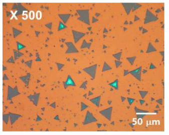 Optical Microscope image of MoS2 sample