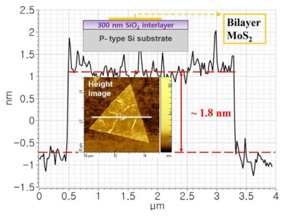 Structure and topography of MoS2 sample