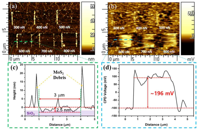 Surface inspection using AFM after wear test : (a) Height image (b) CPD voltage image (c) Line profile of height in worn test area (d) Line profile of CPD voltage