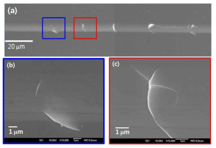 FESEM images of micro scratch cracks scratch direction from left to right : (a) surface cracks (b) magnified view of the first crack (c) magnified view of the second crack