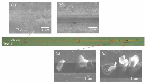 SEM images of the scratch track (test 1)