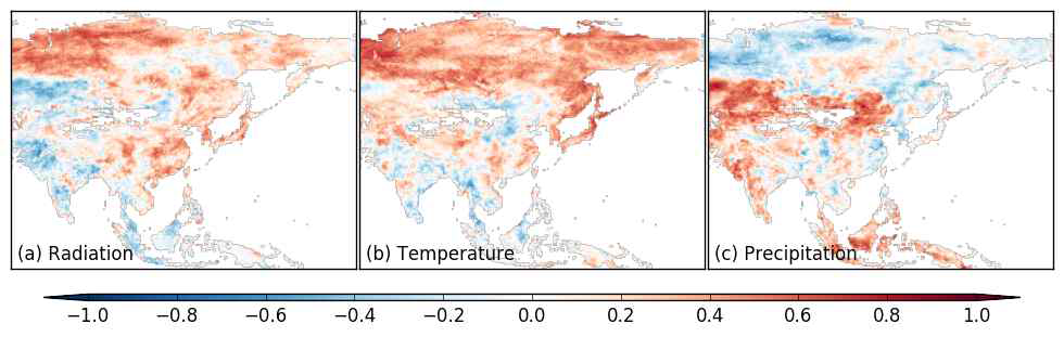 Correlation coefficients between detrended RECO and (a) detrended radiation, (b) detrended temperature, and (c) detrended precipitation