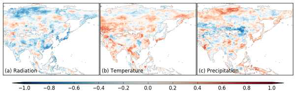 Correlation coefficients between detrended NEE and (a) detrended radiation, (b) detrended temperature, and (c) detrended precipitation