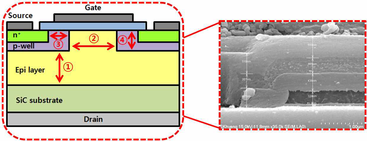 SiC FET 구조 단면도와 FIB-SEM 사진
