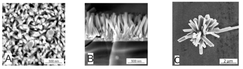 The top view SEM image (A) and cross section view SEM image (B) of the ZnO nanowires prepared with nucleated glass substrate (ZnO-1) and the top view SEM image (C) on hedgehog-like structure (ZnO-2) prepared without seeding layer by hydrothermal growth