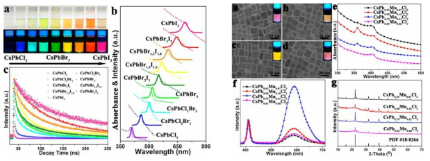 좌) CsPbX3의 경우 X 치환에 따라 PL밴드의 장파장 이동, 우) CsPbxMnyCl3 의 경우 PB:Mn비에 따라 나노입자 형상에 미세한 영향을 미치며, 형광 양자효율 변화