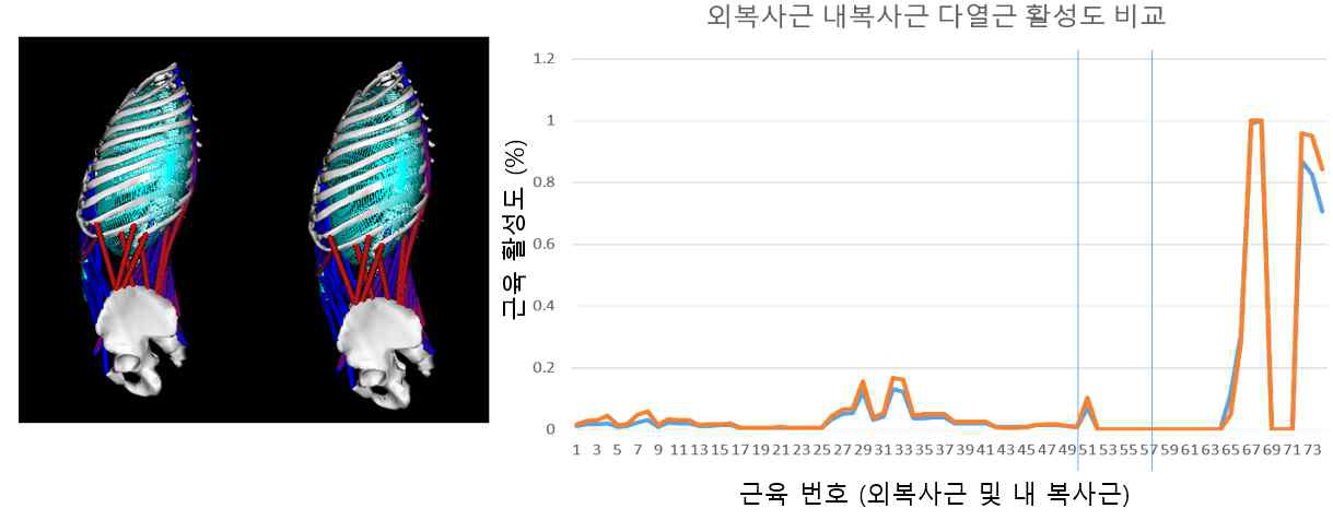 reverse plank의 기존자세(좌측, 그래프 파란색)와 변형된 자세 (우측, 그래프 주황색)간 활성 근육 및 활성도 비교