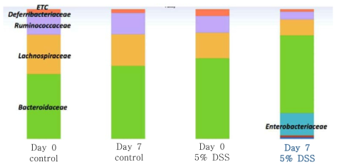 DSS 처리에 따른 마우스 분변 공생미생물 Family-level 분포 변화. 7 일 동안 DSS 처리 후, Enterobacteriaceae 그룹의 분포가 현저히 증가하였음