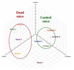 모델균 감염에 의해 사멸한 쥐 및 대조군의 장내균총의 3-D PCoA 분석