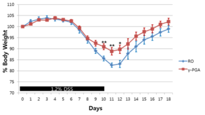 DSS 유도 장염 모델에서 gPGA에 의한 억제 효과, 체중감소