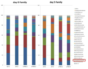 각 실험군의 micrbiota analysis. Family level에서의 taxonomic classification