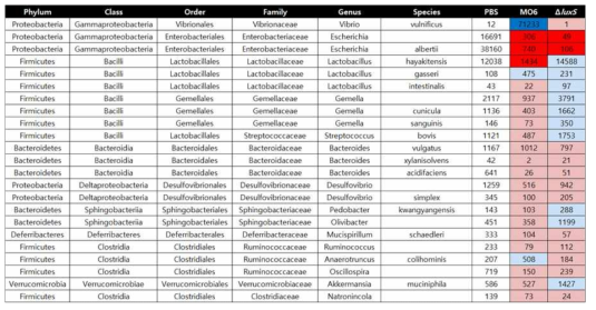 패혈증비브리오균의 야생종과 ΔluxS 균주를 투여한 쥐의 소장 내 공생미생물 종 수준 비교