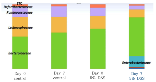 DSS 처리에 따른 마우스 분변 공생미생물 Family-level 분포 변화. 7 일 동안 DSS 처리 후, Enterobacteriaceae 그룹의 분포가 현저히 증가하였음