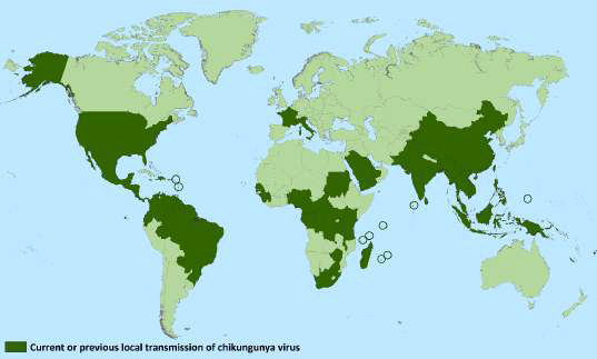 치쿤구니야열 발생지역 (2015 1월 기준, 출처: 미국 CDC website)
