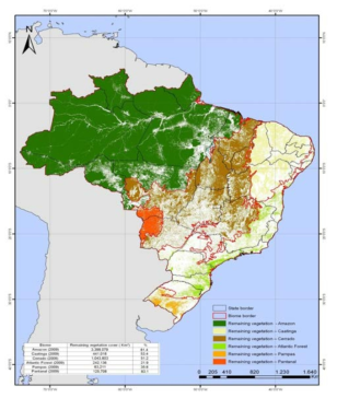 Map of estimated remaining vegetation cover in Brazilian biomass