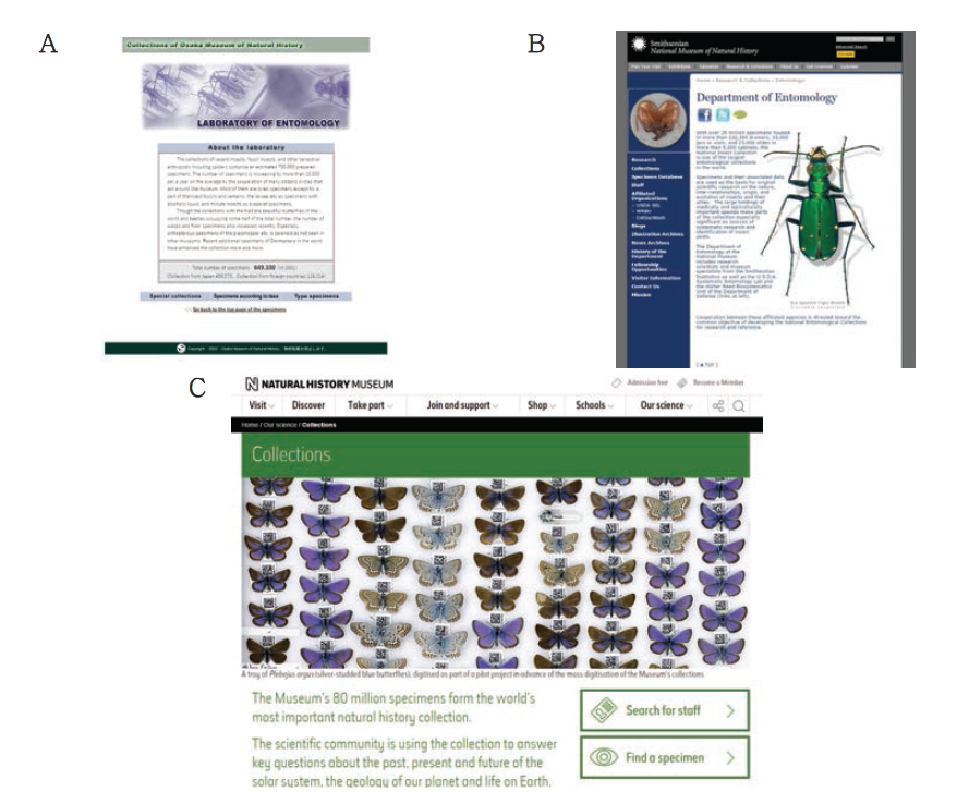해외 표본수장고 운영기관의 수장시설 홈페이지. A. Osaka Museum of Natural History (일본), B. Smithsonian Natural Museum of Natural History (미국), C. Natural History Museum, London (영국)