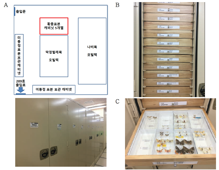 확증표본 보관 컴팩터 위치 및 수장 현황. A. 곤충표본 수장고(208 호) 배치도 및 확증표본 수장 컴팩터, B. 컴팩터 내 확증표본 수장용 표본 상자 배열, C. 표본상자 내 확증표본 수장 모습