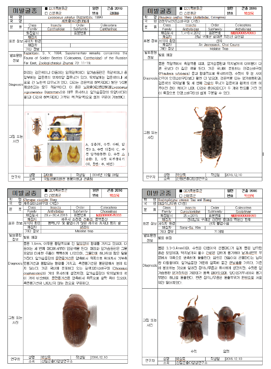 딱정벌레목 미발굴종 16종의 종카드
