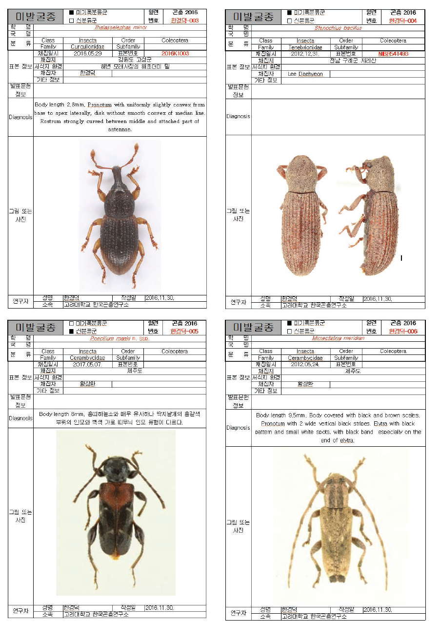 딱정벌레목 미발굴종 16종의 종카드 (계속)