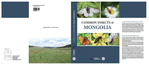 몽골 곤충도감(COMMON INSECTS of MONGOLIA) 표지