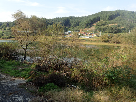 충남 서천군 봉선저수지(2016년 10월 11일)