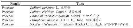 도서지역(고군산군도)의 외래식물 (계속)