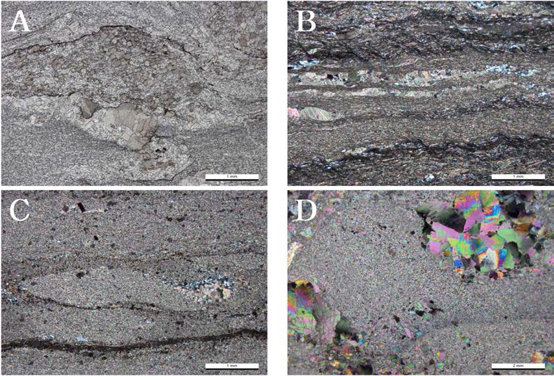 엽리상 석회암의 박편 사진. A. 백운석으로 치환된 중앙의 생교란 흔적(BY04, 개방니콜), B. 얇은 석영 모래층과 이질층 포함(BY17, 직교니콜), C. 미크라 이트질 석회암(BY16, 직교니콜), D. 재결정된 방해석 거정들(BY39, 직교니콜)