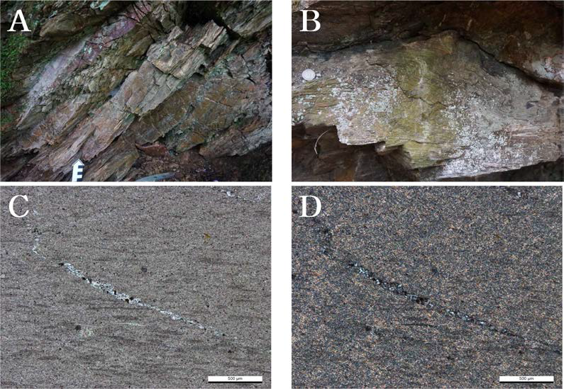 셰일의 노두와 박편 사진. A. 석회암과 교호하는 셰일(BY11), B. 다소 두꺼운 셰일 구간의 습곡(BY38-선평역 북서쪽, 조사지역 북단), C-D. 주로 미세한 운모류로 이루어진 BY11 의 박편 사진(좌-개방니콜, 우-직교니콜)