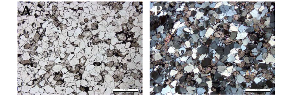 사암의 박편 사진. 원마도 좋은 중립질 석영 모래입자와 방해석 입자, 석영 교질물의 모습(BY15; A-개방니콜, B-직교니콜)