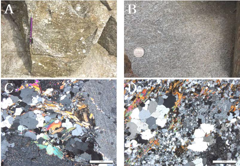 흑운모편마암의 노두 및 박편 사진. A. 편마암 노두(GR01A), B. GR01지점에 관입상으로 분포하는 화강암류(GR01B), C. GR01A의 박편(직교니콜), D. GR01B의 박편(직교니콜)