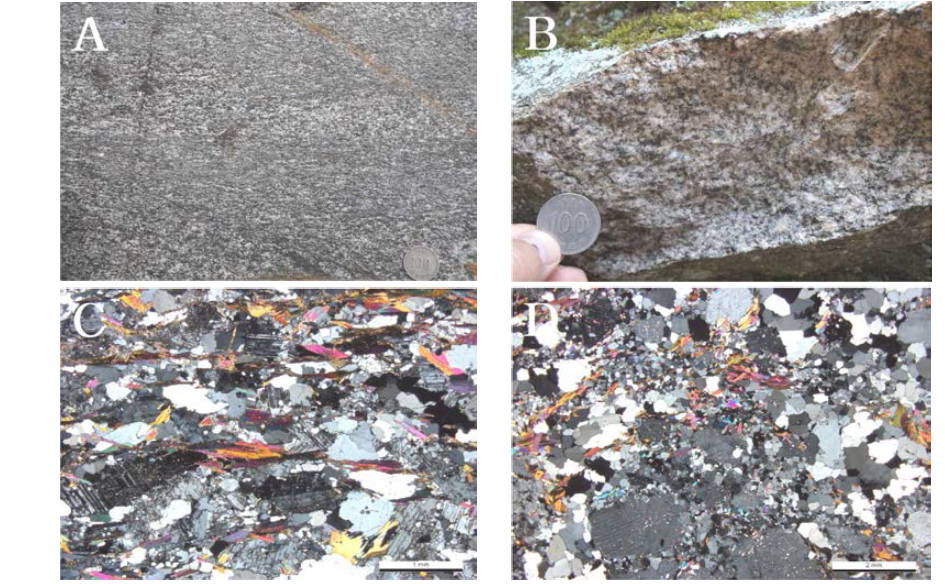 화강편마암의 노두 및 박편 사진. A. 엽리 발달 화강편마암 노두(GR02A), B. 엽리 미약 화강편마암 노두(GR02B), C. GR02A의 박편(직교니콜), D. GR02B의 박편(직교니콜)