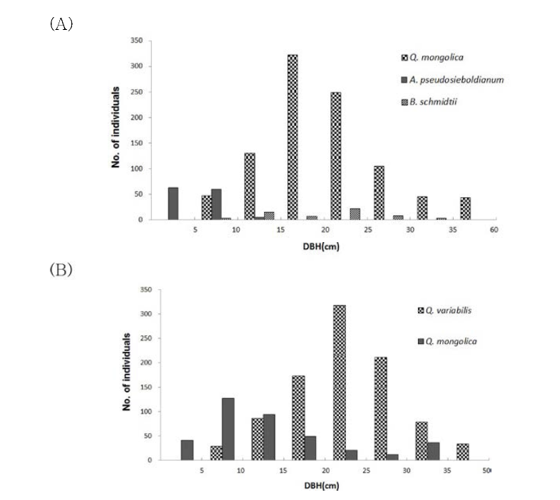 화강암지역(구룡산) 주요 군락의 DBH Class 분석. (A): 신갈나무군락; (B): 굴참나무군락