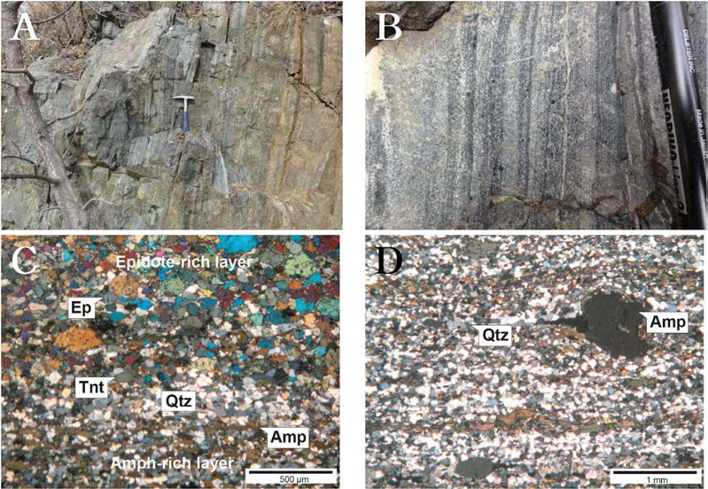 변성화산암의 노두와 박편 사진. A-B. 암흑색대와 연녹색대의 호상구조를 변성화산암(지기산 GG-82), C. 각섬석, 석영 및 장석류로 구성된 암흑색대와 녹염석, 티탄철석, 장석류 및 석영으로 구성된 연녹색대가 교호하는 호상구조 내의 박편사진(직교니콜), D. 호상구조 내 각섬석 반정을 보여주는 박편 사진(직교니콜). Ep: 녹염석; Tnt: 티타나이트; Amp: 각섬석; P1: 사장석; Qtz: 석영