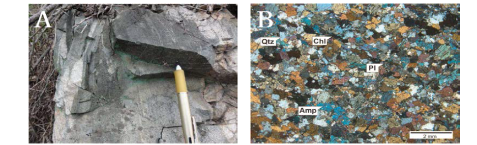 변성돌러라이트의 노두와 박편 사진. A. 중립의 입상조직을 가지는 변성돌러라이트, B. 각섬석과 장석 입자로 구성된 변성 돌러라이트 박편사진(직교니콜), Amp: 각섬석; Pl: 사장석; Qtz: 석영; Chl: 녹니석