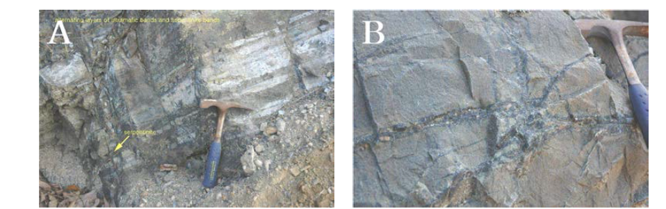 사문암 및 원암인 초염기성암의 노두 사진. A. 사문암화가 진행된 검은색의 사문암으로 회색부분은 온석면화가 강함을 지시한다, B. 등립상의 모자이크 조직 및 원생입상 조직을 보여주는 사문암체 내의 초염기성암 잔류암체