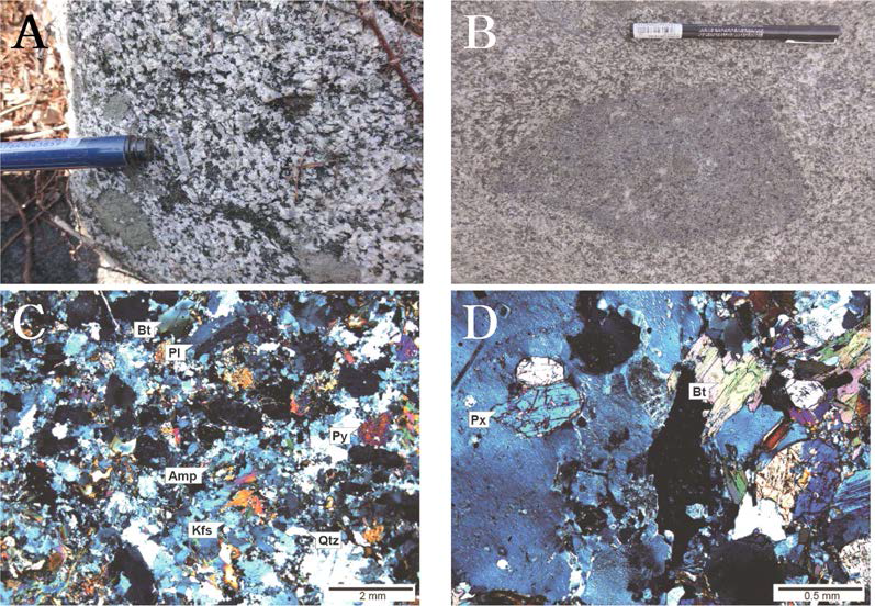 변성화산암의 노두와 박편 사진. A. 장방형의 정장석반정을 가지는 몬조니암(지기산 GG-825), B. 고철질 염기성 입상질 포획체를 포함하는 몬조니암, C. 사장석, 알칼리 장석, 각섬석, 석영, 휘석, 흑운모로 구성된 몬조니암의 박편사진(직교니콜), D. 몬조니암 내 문상연정을 보여주는 정장석의 박편 사진(직교니콜). Bt: 흑운모; Kfs: 정장석; Amp: 각섬석; P1: 사장석; Qtz: 석영