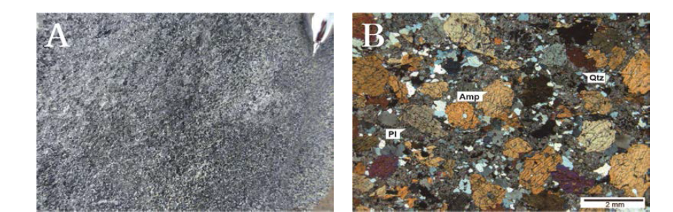 각섬암의 노두와 박편 사진. A. 조립의 입상조직을 가지는 각섬암, C. 각섬석, 사장석 및 석영입자로 구성된 각섬암 박편사진(직교니콜), Amp: 각섬석; Pl: 사장석; Qtz: 석영