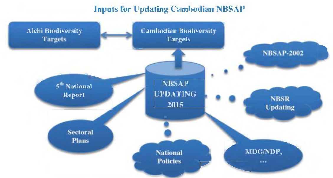 Inputs for Updating Cambodian NBSAP