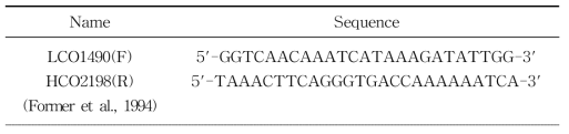 mtCOI primer sequences