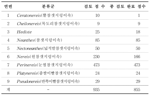 환형동물문(참갯지렁이과) 검토 및 재동정 표본 현황