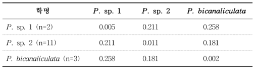 mtCOI DNA염기서열에 근거한 Platynereis sp. 1, 2, P. bicanaliculata사이의 mean pairwise genetic distances (K2P distance). n=개체 수