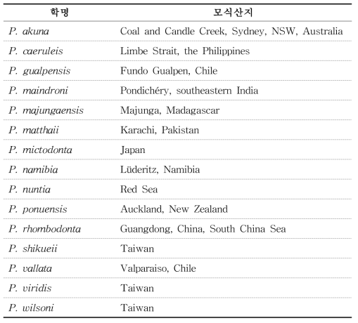 Perinereis nuntia species group에 속하는 종과 모식산지(type locality)